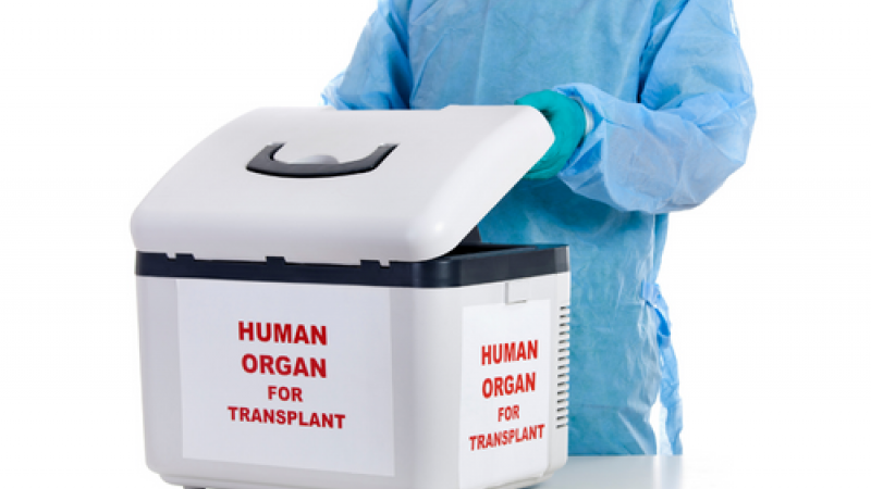 donación y trasplante de órganos