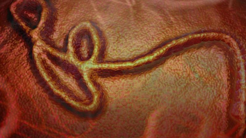 ebola_imagen
