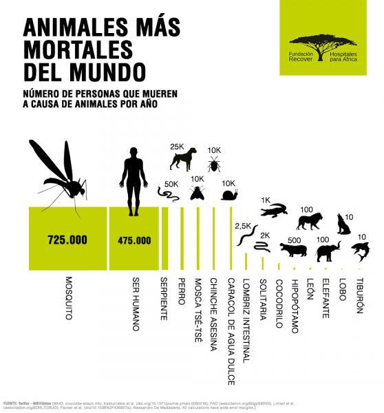 Animales que más muertes causan