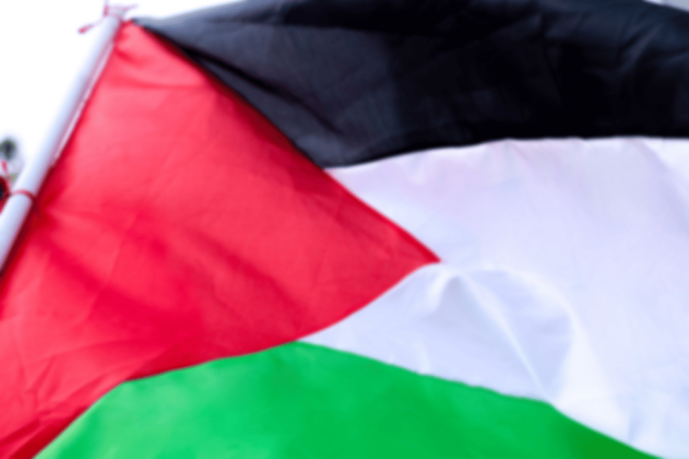 bandera