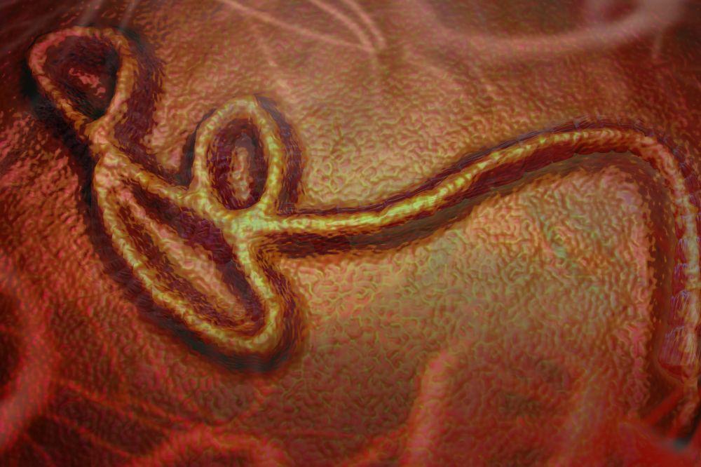 ebola_imagen