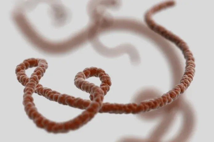 ebola_brote